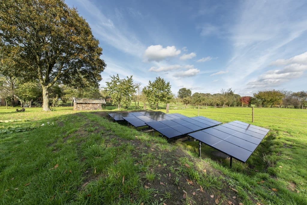 Zonnepanelen in tuin 09 1024x684